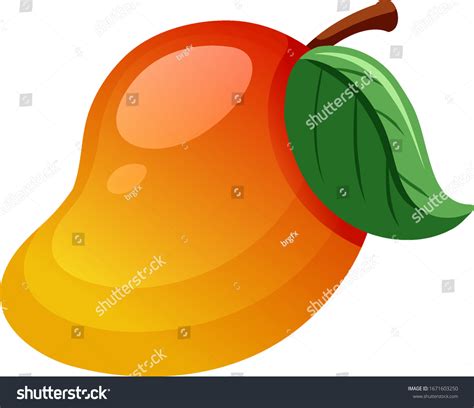 Mango Clipart Vector Images (over 510) .